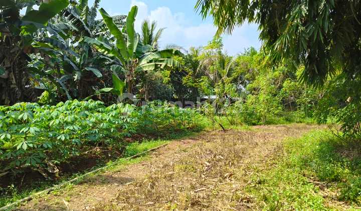 Dijual Cepat Kavling Taman Sari Setu Bekasi Cocok untuk Bangun Cluster Dekat Tol Burangkeng Setu Dijual Cepat Kavling Taman Sari Setu Bekasi Cocok untuk Bangun Cluster Dekat Tol Burangkeng Setu