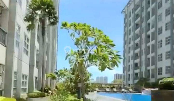 Dijual Apartemen Saveria Bsd City 1