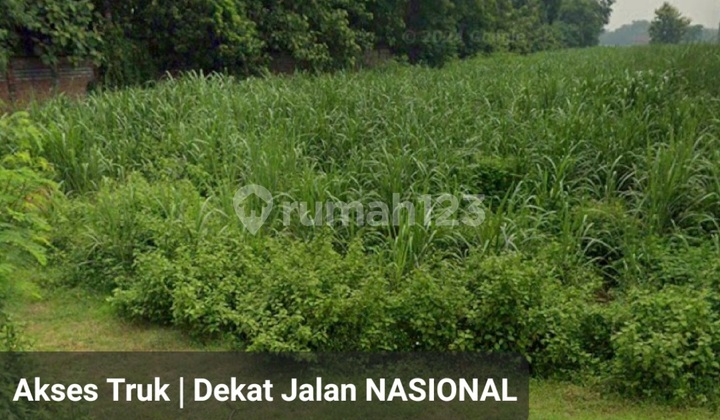 For Sale 3.5 Hectares of Plot Land in Jombang, East Java - Al Hidayah Road near National Road, Jombang City Square - Truck Access - Suitable for Warehouse, Workshop, Housing - SHM Certificate For Sale 3.5 Hectares of Plot Land in Jombang, East Java - Al Hidayah Road near National Road, Jombang City Square - Truck Access - Suitable for Warehouse, Workshop, Housing - SHM Certificate