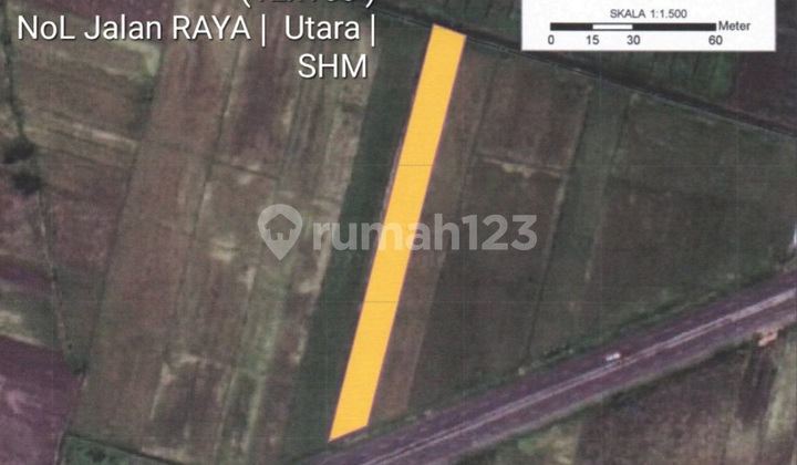 Murah Rp.500 Rb/M2 Dijual 3390 M2 Tanah Industri Raya Bypass Mojoagung - Jombang - Jawa Timur - Nol Jalan Raya Kembar 4 Jalur - Akses Truk Kontainer