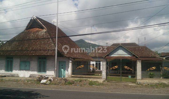 Rumah Walet Raya Jember - Banyuwangi- Jatim + Ada 3 kg Sarang Burung  2