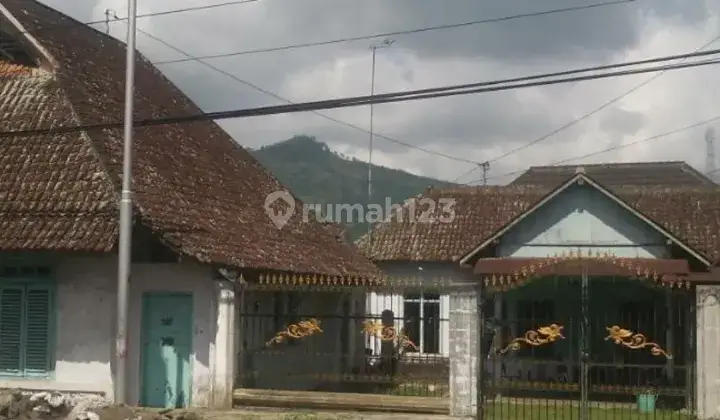 Rumah Walet Raya Jember - Banyuwangi- Jatim + Ada 3 kg Sarang Burung  7