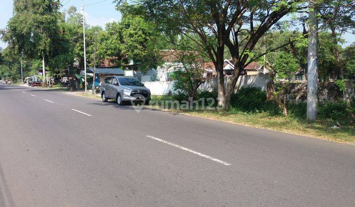 Dijual 4180 m2 Tanah Jalan Raya Trawas - Mojosari - Mojokerto  - Jawa Timur  2