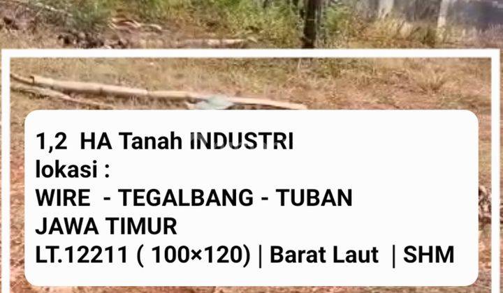 1,2 Ha Tanah Industri Wire - Tegalbang - Tuban - JATIM- Nol Jalan Propinsi  1