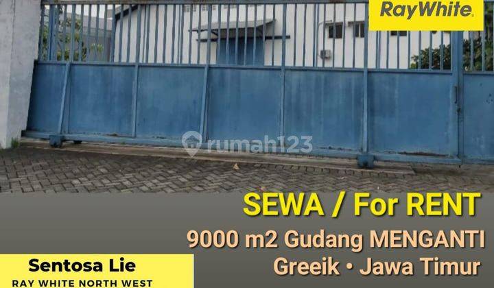 Disewakan 9000 m2 Gudang Jalan Raya Pelemwatu Menganti Gresik - Akses Kontainer 40 Feet - STRATEGIS Nol Jalan RAYA  2