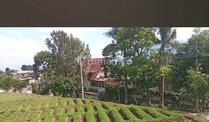 Dijual 4975 m2 Tanah BATU Jatim di Jalan Raya Tulungrejo - Bumiaji - Nol Jalan cocok buat Segala Usaha 2