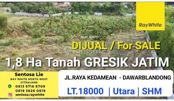 Dijual 1,8 Ha Tanah Gresik JATIM - Jalan Raya Kedamean - Dawarblandong -  SHM cocok buat Pegudangan , Perumahan  1