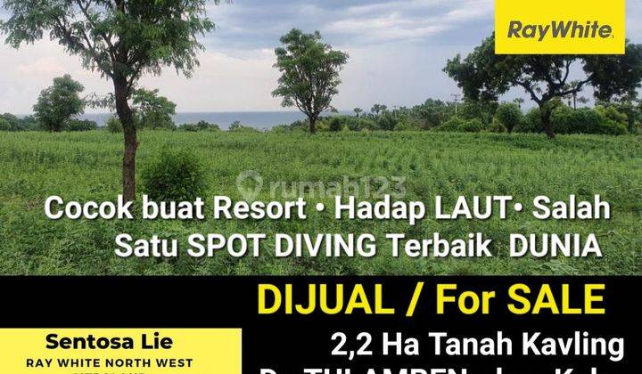 For sale 2.2 Ha of BALI Land in Tulamben Village - Kubu District - Karang Asem Regency - SHM - Sea View - suitable for Resort 1