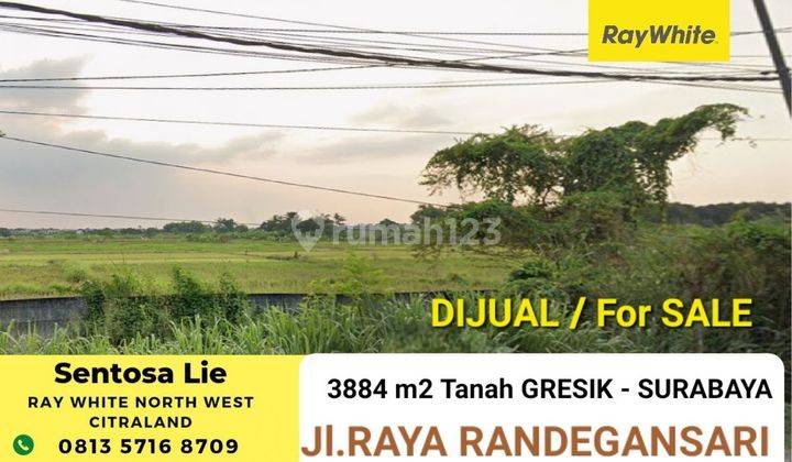 Dijual 3884 m² Tanah Raya Randegansari - Driyorejo Dekat Citraland SURABAYA  1