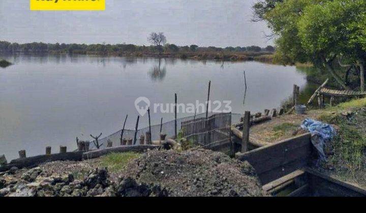 Dijual 4 Ha Tanah Tambak Udang di Bangil - PASURUAN - Jawa Timur - Surat SHM 2