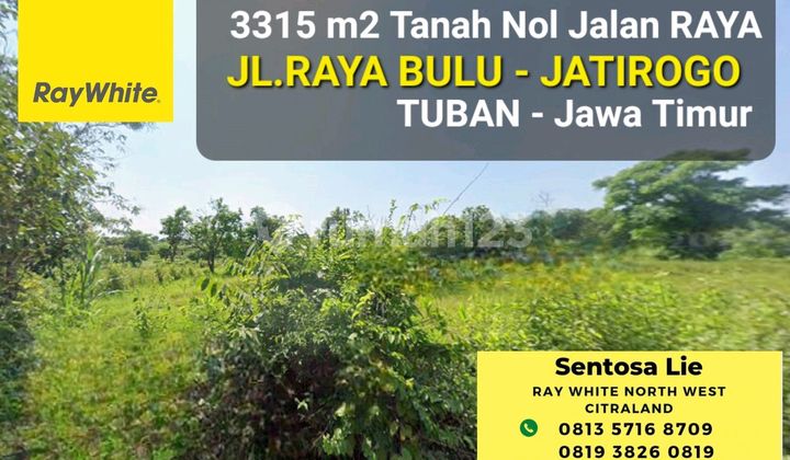 Dijual 3315 M2 Tanah Tuban Jatim Di Nol Jalan Raya Bulu - Jatirogo - Sukolilo - Bancar - Kab. Tuban - Jawa Timur - Surat Shm - Lokasi Bagus Tanah Tambang Pasir Silica / Batako Cocok Untuk Usaha Tambang Atau Spbu - Akses Truk Besar