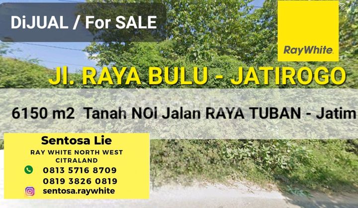 Dijual 6510 M2 Tanah Jalan Raya Bulu - Jatirogo - Sukolilo - Bancar - Kab. Tuban - Jawa Timur - Surat Shm - Lokasi Bagus Tanah Tambang Pasir Silica / Batako Cocok Untuk Usaha Tambang Atau Spbu - Akses Truk Besar