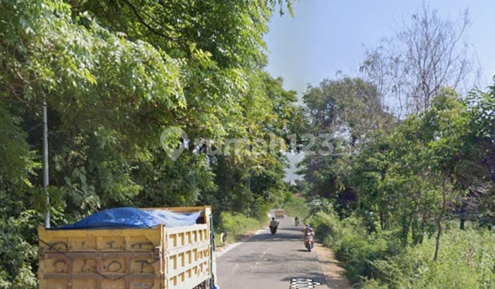 Cheap Sale 1.8 Ha Land Tuban East Java - Bulu Main Road - Jatirogo - Bancar Subdistrict - Tuban Regency - East Java - SHM Certificate - Large Truck Access