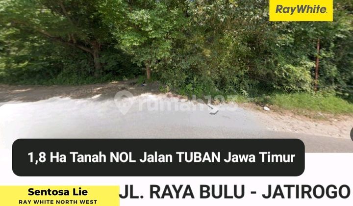 Cheap Sale 1.8 Ha Land Tuban East Java - Bulu Main Road - Jatirogo - Bancar Subdistrict - Tuban Regency - East Java - SHM Certificate - Large Truck Access