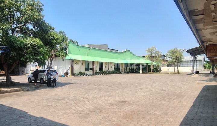 Cheapest Ex Gresik Factory Business Permit Bonus