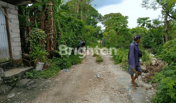 Tanah  Super Murah dan Startegis di  Nusa Dua 1