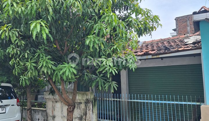 Jual Hitung Tanah Luas 120M2 500 Jt Nego Kawann 1