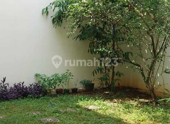 Dijual Rumah Murah Rapih Asri Di Puspita Loka Bsd Dekat Al Azhar 2