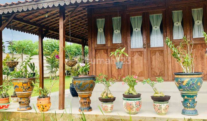Dijual Lahan Dan Vila Cantik Di Cisauk Dkt Stasiun Cicayur  2