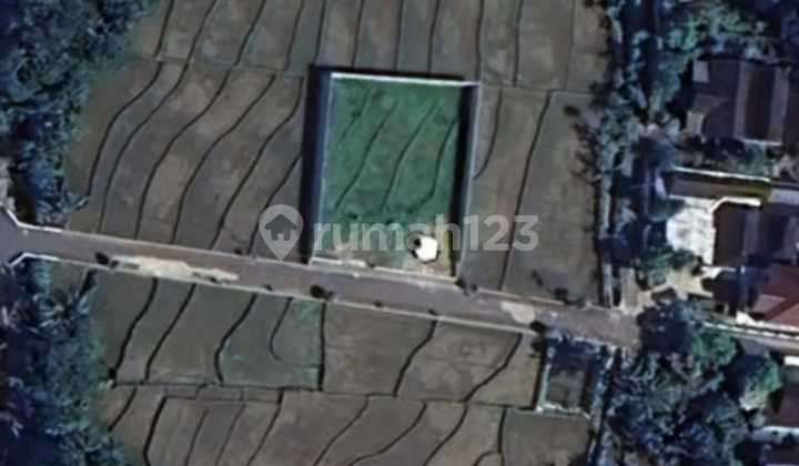 Dijual! Tanah Kering Dekat Jln.solo-tawangmangu, Sudah Pagar Keliling Dan Sebagian Sudah Diurug. Cocok Untuk Kuliner Dan Bisnis.