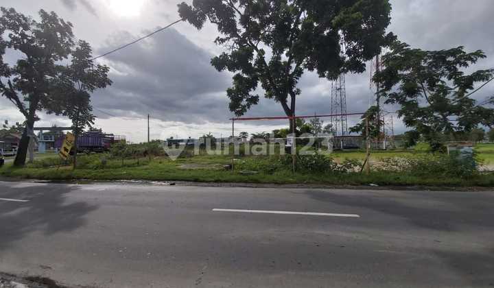 Tanah Sangat Strategis di Pinggir Jalan Bekonang Mojolaban Arah ke Palur Tanah Sangat Strategis di Pinggir Jalan Bekonang Mojolaban Arah ke Palur