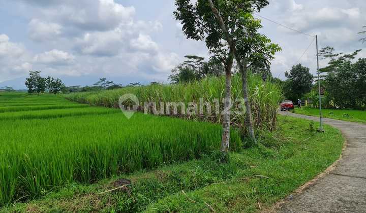 Tanah Luas dengan Pemandangan Indah dan Udara Bersih di Bangsri Karangpandan. Tanah Luas dengan Pemandangan Indah dan Udara Bersih di Bangsri Karangpandan.