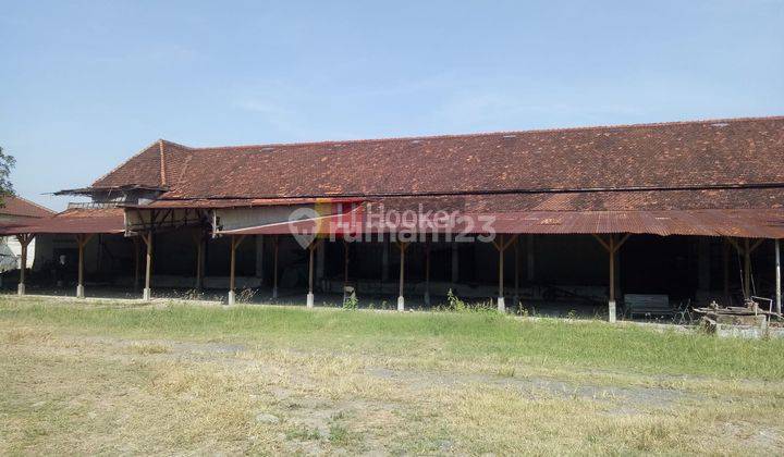 Gudang Siap Pakai,cocok Usaha Dan Industri Mranggen Demak 7192 2