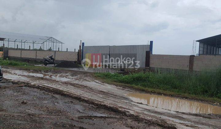 Gudang Cocok Usaha Dan Industri Jl Arteri Kaliwungu Kendal 7440 3