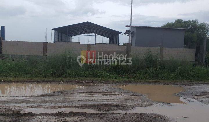 Gudang Cocok Usaha Dan Industri Jl Arteri Kaliwungu Kendal 7440 7