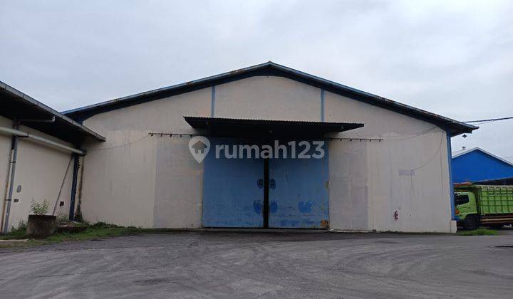 Sewa (Gudang 2 ) Siap Pakai, Cocok Usaha Industri di  Jl. Semarang  –  Demak – 9859 1