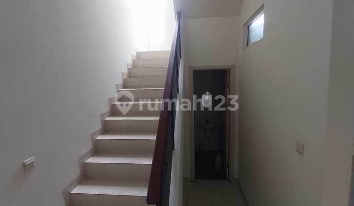 Cheap Sale Canary House - The Spring 2