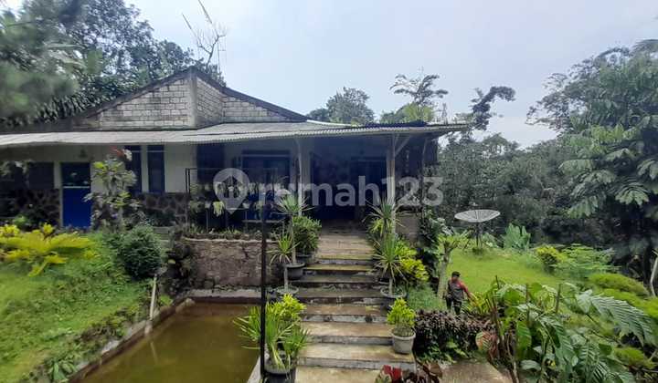 For Sale Villa House in Ciawi Bogor Near Mount Salak