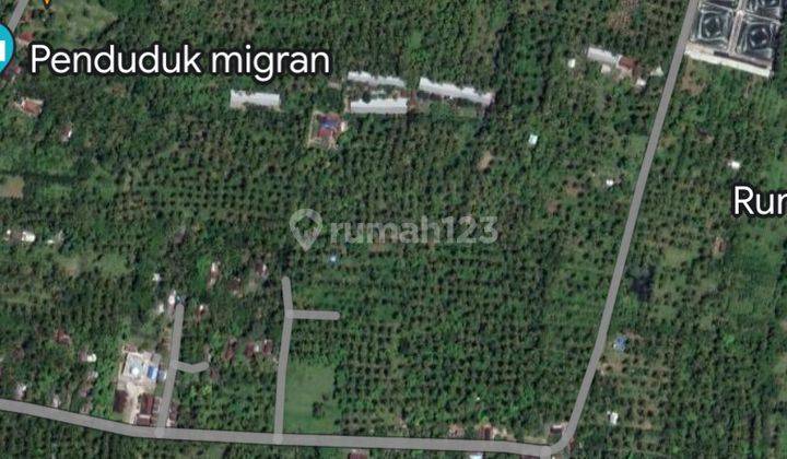 Dijual Tanah Dekat Pantai Jl Singaraja Gilimanuk Buleleng Bali 1