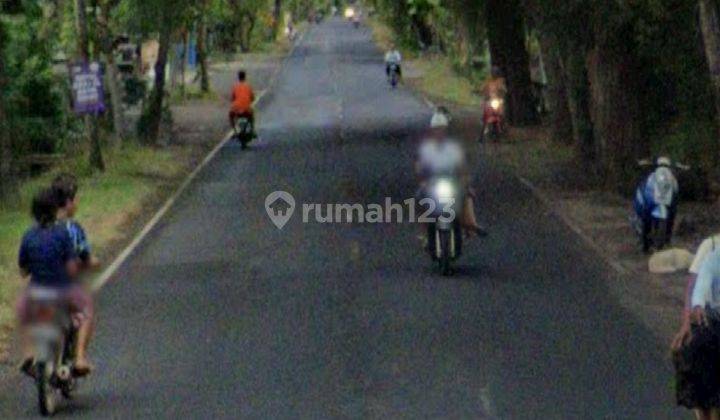 Dijual Tanah Dekat Pantai Jl Singaraja Gilimanuk Buleleng Bali 2