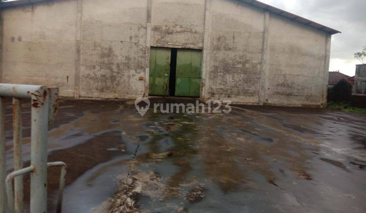 Disewakan Gudang di Lokasi Industri Denpasar Barat dgn ijin akses truk dan kendaraan besar.
 5