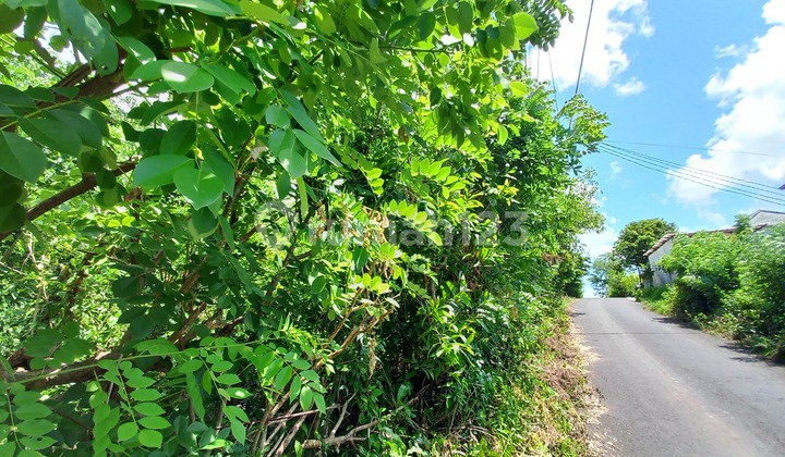 Dijual Lahan 8Are, cocok untuk Villa di Goa Gong, Ungasan-Jimbaran. 4