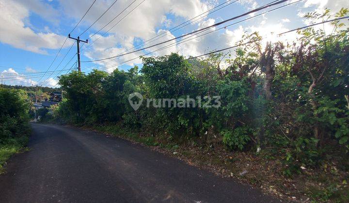 Dijual Lahan 8Are, cocok untuk Villa di Goa Gong, Ungasan-Jimbaran. 5