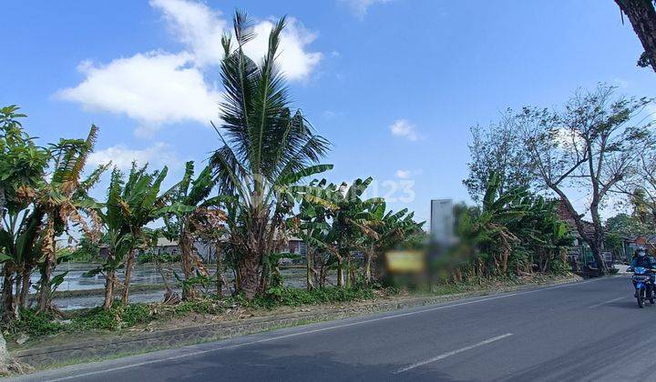 43.5 Are of Land for Rent in Kerobokan Kelod, North Kuta 1