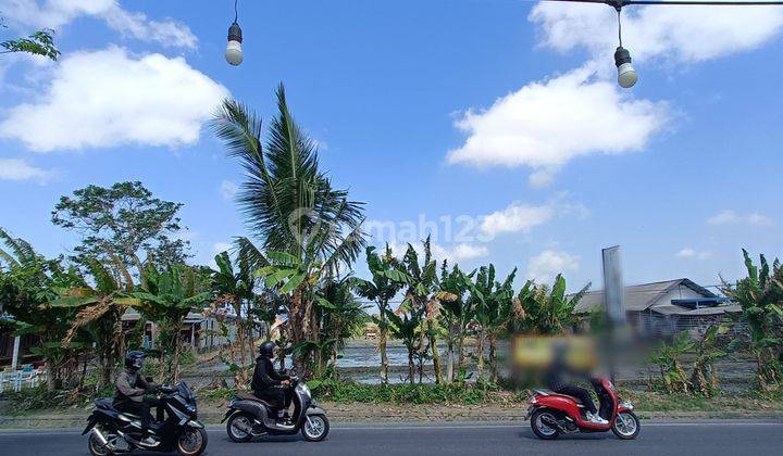 43.5 Are of Land for Rent in Kerobokan Kelod, North Kuta 2