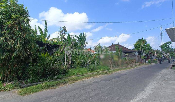 50 Are of Land for Rent in Kerobokan, North Kuta
 2