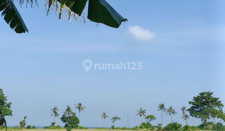 Frontbeach Plot Land Investment in Tabanan Bali 1