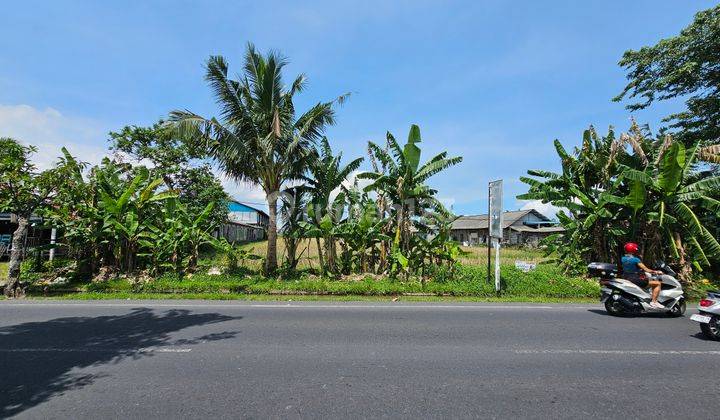 Lahan 43.5 Are di Kerobokan kelod, dapat 2 jalan akses 1