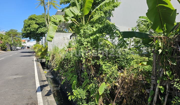 Land 27 Are, Red Zone, Near Papaya Kuta
