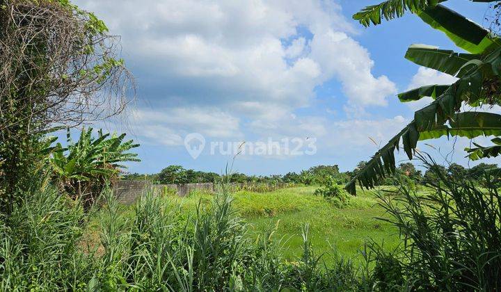 Land Plot/ Kavling For Sale, Walking Distance To Beach in Kedungu Tabanan 2