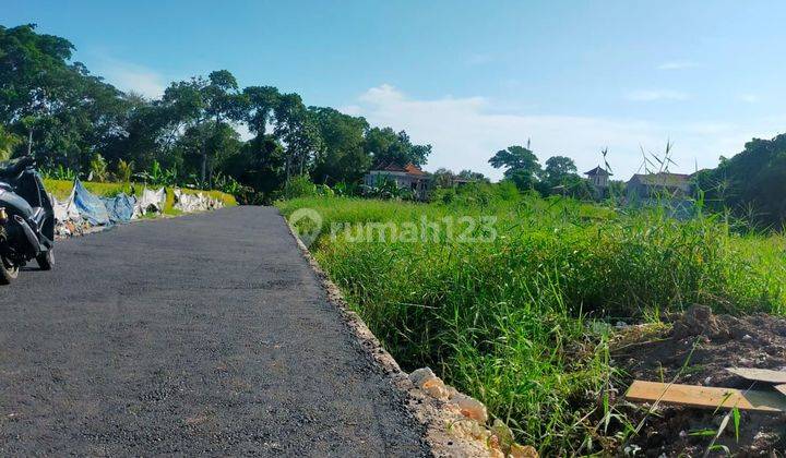 Land Plot In Mengwi, 5 Minutes To Kedungu Beach 2