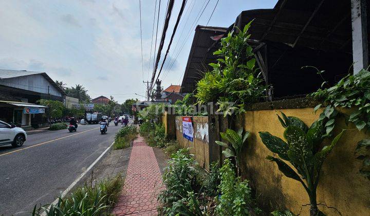 Tanah Disewakan di Batuan Gianyar 1