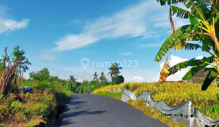 Land Plot In Mengwi, 5 Minutes To Kedungu Beach 1