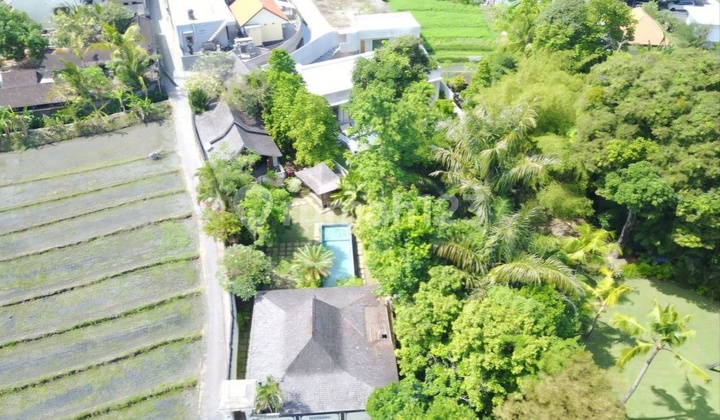 Tanah Premium Zoning Campuran di Pererenan Canggu, Bonus Villa Tanah Premium Zoning Campuran di Pererenan Canggu, Bonus Villa