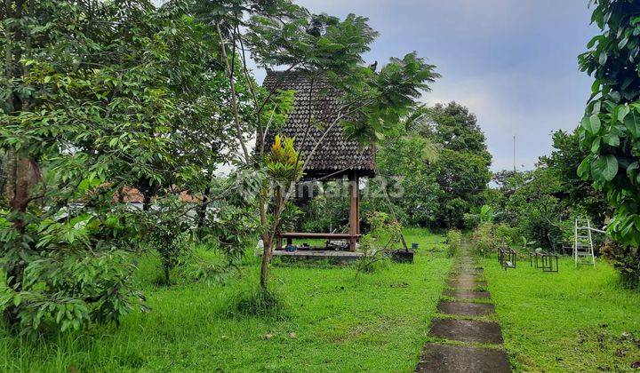 House for sale on Jl Penebel Biaung SHM Needs Renovation 2