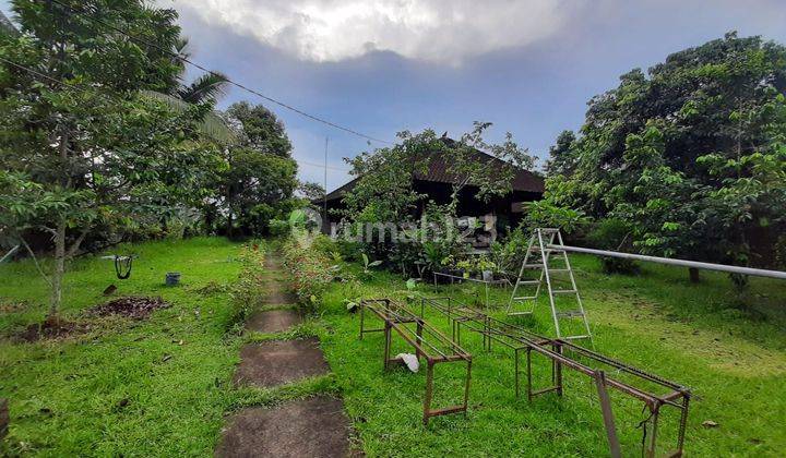 House for sale on Jl Penebel Biaung SHM Needs Renovation 1